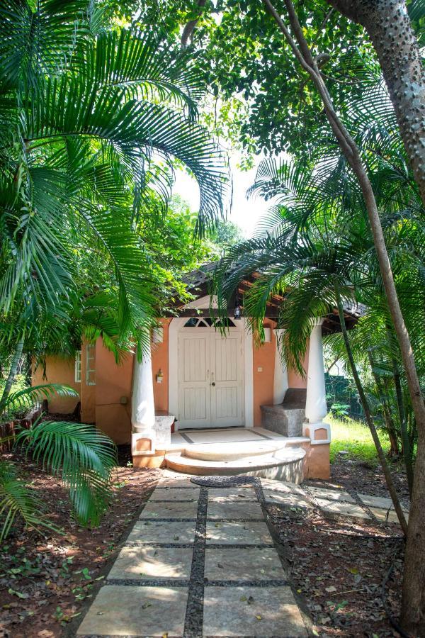 קנדולים Wildflower Villas - All Villa Hotel, Family Run מראה חיצוני תמונה