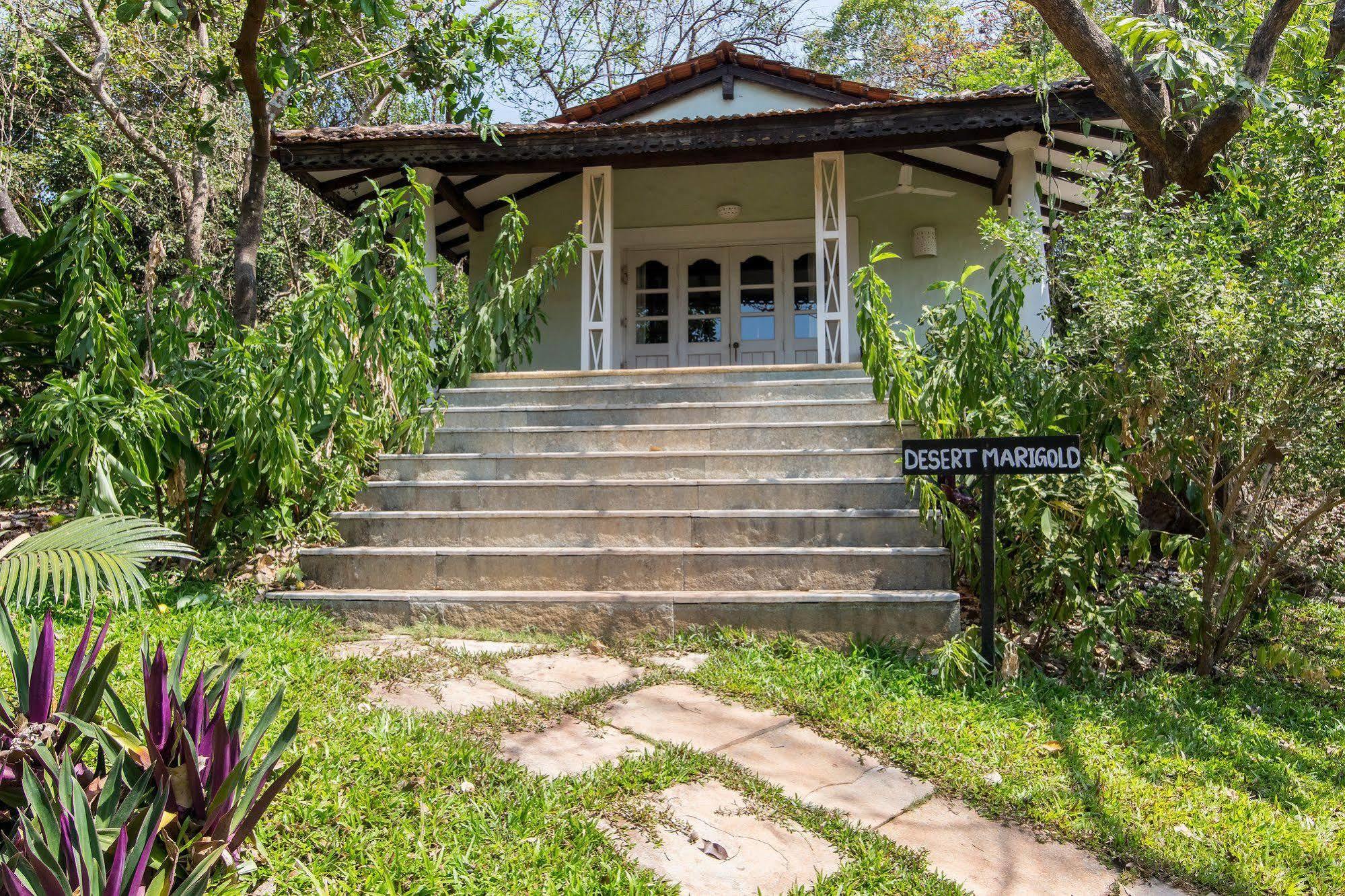 קנדולים Wildflower Villas - All Villa Hotel, Family Run מראה חיצוני תמונה